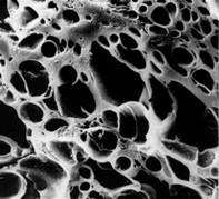 Cấu trúc than hoạt tính dưới kính hiển vi, cho thấy các lỗ xốp với mật độ cao